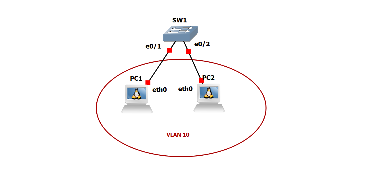 switch-lab-level-1-topology